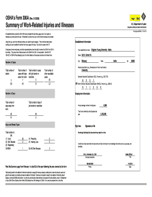 OSHA Form 300A Summary of Work-Related Injuries and Illnesses