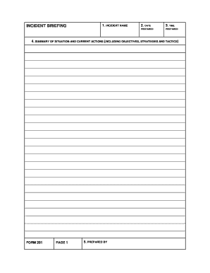 Incident Briefing ICS Form 201
