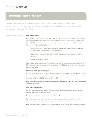 Form 5500 Annual Report