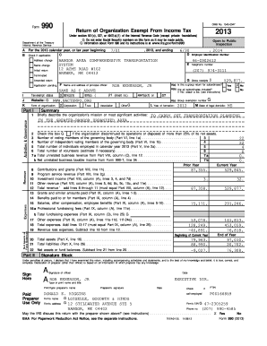 Form 990 2013