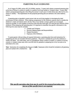 Missouri Parenting Plan Form