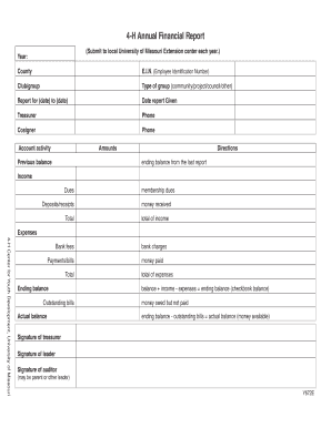 4-H Annual Financial Report