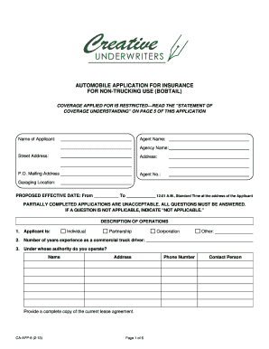 Automobile Insurance Application for Non-Trucking Use