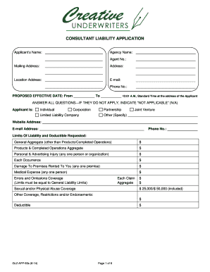 Consultant Liability Application Form