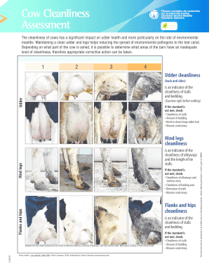 Cow Cleanliness Assessment Form