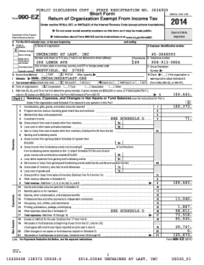 Form 990-EZ 2014