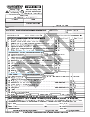 Combined Tax Return for S-Corporations