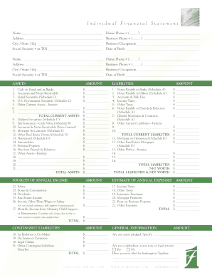 Individual Financial Statement