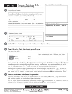 California Temporary Restraining Order DV-110