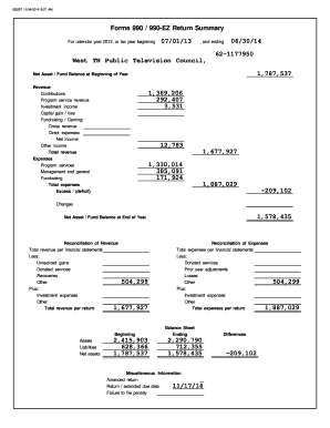 Form 990 Return Summary