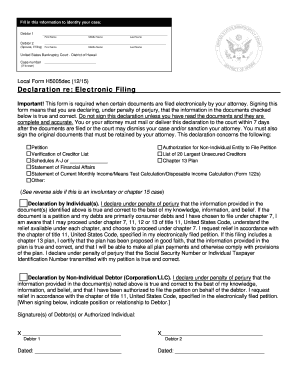 Declaration re: Electronic Filing