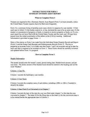 Summary Interim Asset Report Form 3