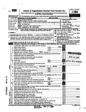 Form 990 2004
