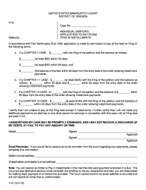 Individual Debtor's Application to Pay Filing Fees in Installments
