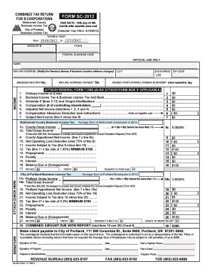 Combined Tax Return for S-Corporations
