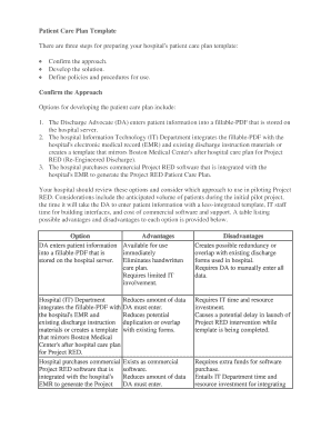 Patient Care Plan Template