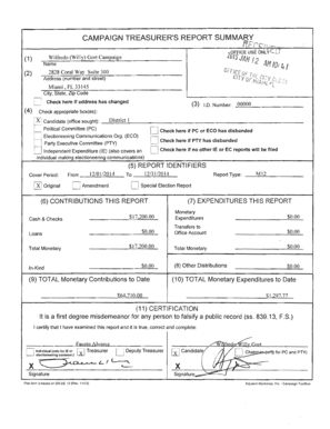 Campaign Treasurer's Report Summary