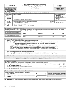 New York State Charitable Organization Annual Filing
