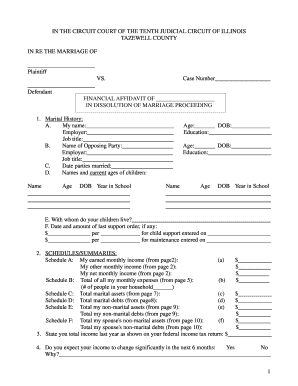 Illinois Financial Affidavit for Dissolution of Marriage