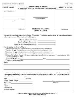 Pro Se Petition Domestic Relations