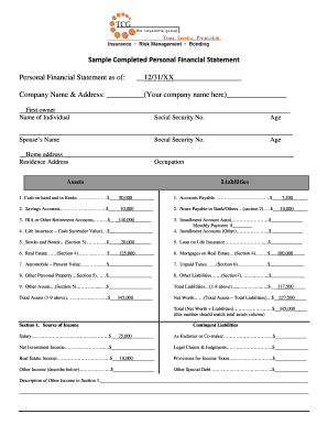 Personal Financial Statement Form
