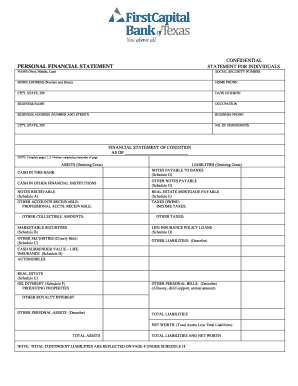 Personal Financial Statement Form