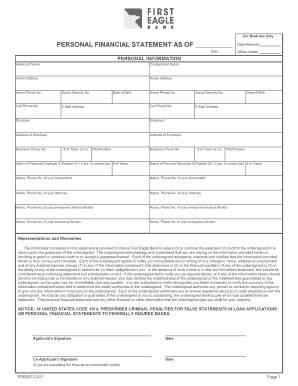 Personal Financial Statement Form