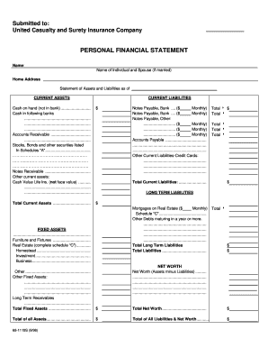 Personal Financial Statement Form