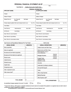 Personal Financial Statement Form