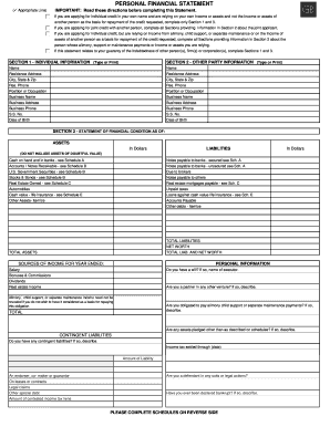 Personal Financial Statement Form