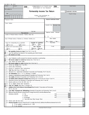 Puerto Rico Partnership Income Tax Return Form 480.10
