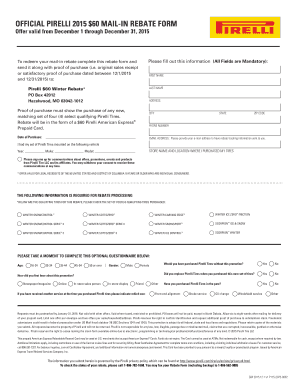 Pirelli 2015 $60 Mail-In Rebate Form