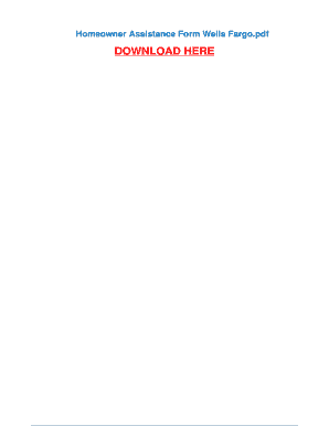 Wells Fargo Homeowner Assistance Form