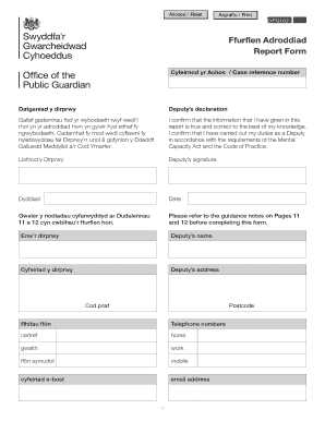 Deputy's Report Form