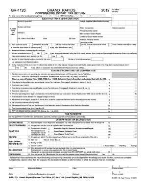 Grand Rapids Corporation Income Tax Return