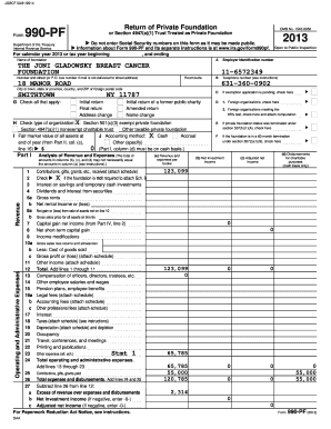 Form 990-PF 2013