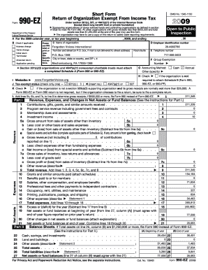 Form 990-EZ Tax Return