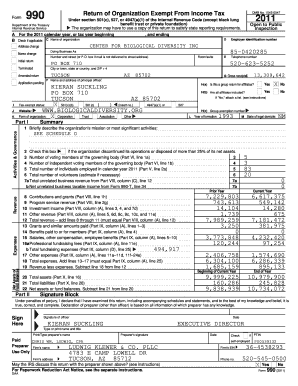 Form 990 Tax Exempt Organization Return