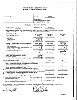 Chapter 11 Monthly Operating Report