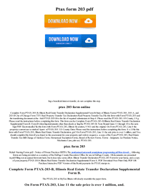 Illinois Real Estate Transfer Declaration Form PTAX-203