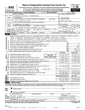 IRS Form 990 2013