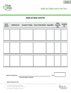 Health and Safety Action Plan Form
