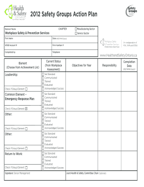 2012 Safety Groups Action Plan