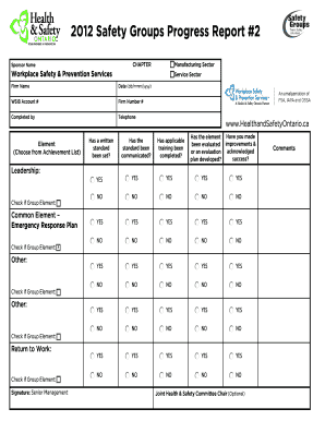 2012 Safety Groups Progress Report