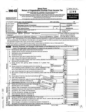Form 990-EZ Exempt Organization Tax Return