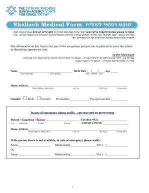 Shaliach Medical Form