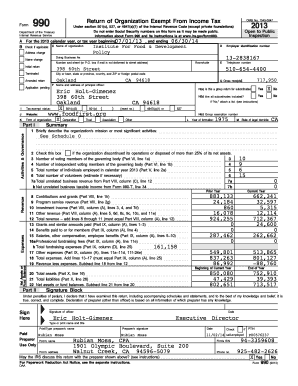 Form 990 2013