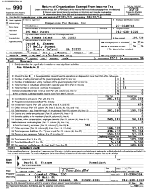Form 990 2013 Tax Exempt Organization Return