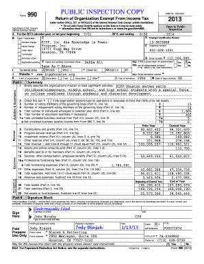 Form 990 2013
