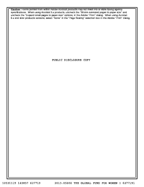 Form 990 2013